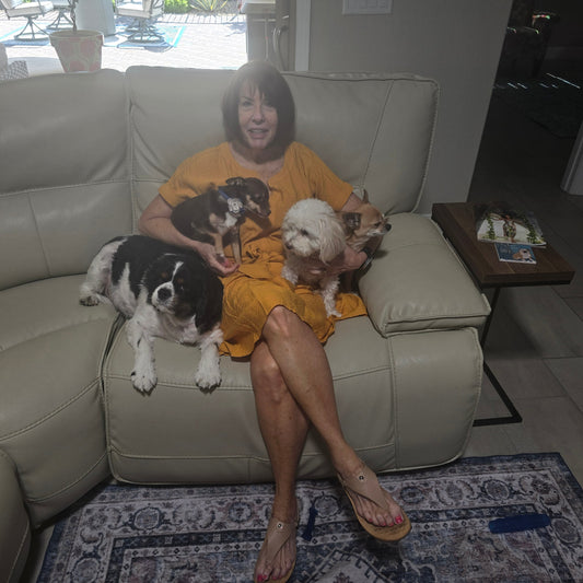 Dana sitting on a light leather couch in a mustard dress, holding all four of her studio dogs — a Cavalier King Charles Spaniel, two Chihuahuas, and a fluffy white dog.